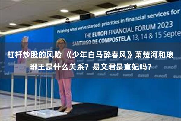 杠杆炒股的风险 《少年白马醉春风》萧楚河和琅琊王是什么关系？易文君是宣妃吗？