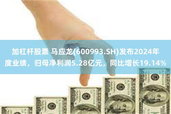 加杠杆股票 马应龙(600993.SH)发布2024年度业绩，归母净利润5.28亿元，同比增长19.14%