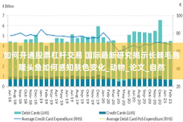 如何开通股票杠杆交易 国际最新研究揭示长棘毛唇隆头鱼如何感知肤色变化_动物_论文_自然