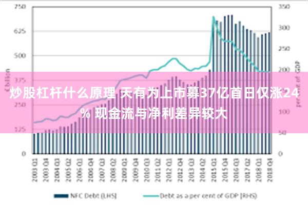 炒股杠杆什么原理 天有为上市募37亿首日仅涨24% 现金流与净利差异较大