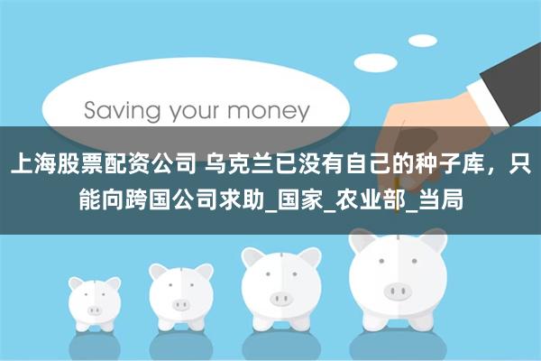 上海股票配资公司 乌克兰已没有自己的种子库，只能向跨国公司求助_国家_农业部_当局