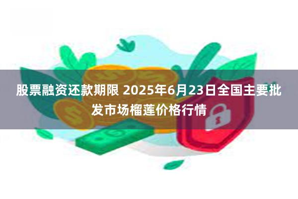 股票融资还款期限 2025年6月23日全国主要批发市场榴莲价格行情