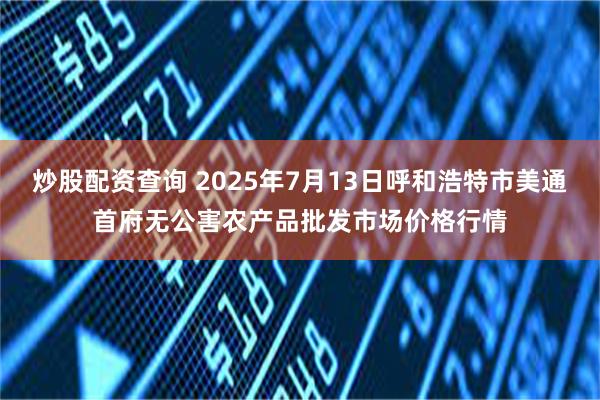 炒股配资查询 2025年7月13日呼和浩特市美通首府无公害农产品批发市场价格行情