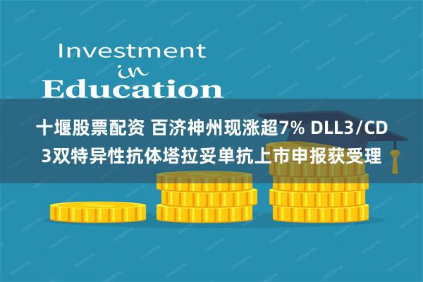 十堰股票配资 百济神州现涨超7% DLL3/CD3双特异性抗体塔拉妥单抗上市申报获受理