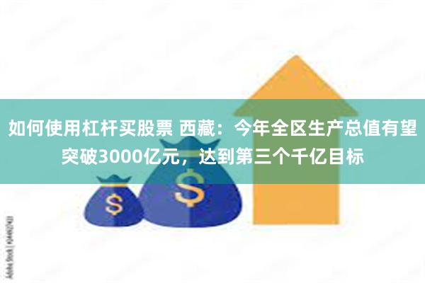 如何使用杠杆买股票 西藏：今年全区生产总值有望突破3000亿元，达到第三个千亿目标
