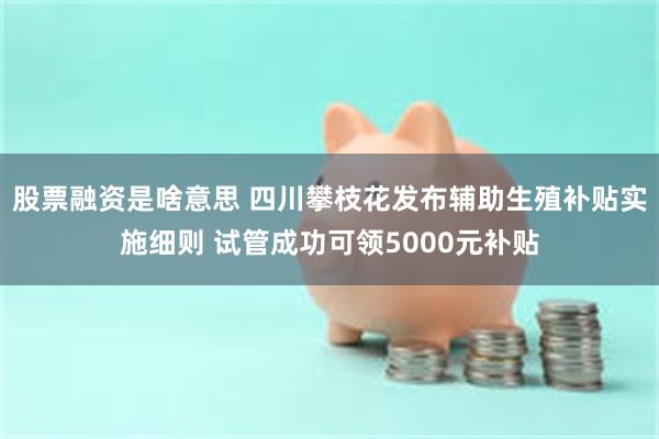 股票融资是啥意思 四川攀枝花发布辅助生殖补贴实施细则 试管成功可领5000元补贴