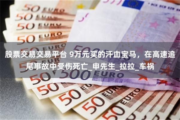 股票交易交易平台 9万元买的汗血宝马，在高速追尾事故中受伤死亡_申先生_拉拉_车祸